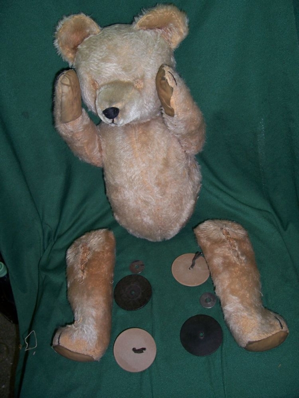 teddybär vorher